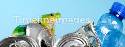 Frog on garbage