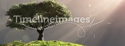 Tree on hill with rays of light
