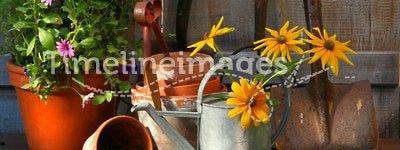 Garden shed with tools and pots