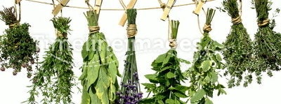 Herbs on clothes line