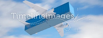 Air cargo concept