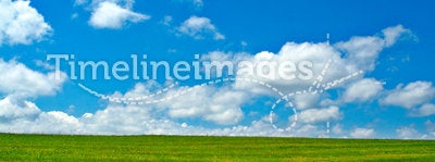 Green field, blue sky and white clouds