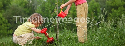Kids plant the tree