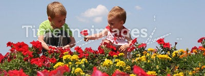 Baby and child in flowers