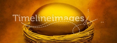 Gold Nest Egg Money Savings