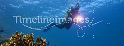 Underwater : Scuba-Diver & coral reef