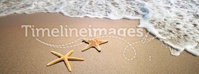 Starfish on a beach