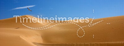 Desert dunes Morocco