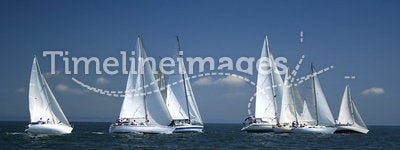 Start of a sailing regatta