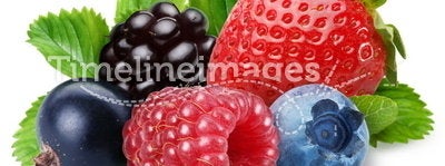 Handful of berries