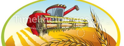 Harvesting machine and wheat ears
