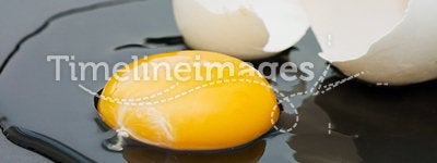The broken egg