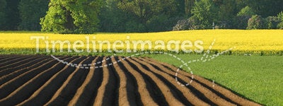 Agriculture in colour