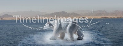 Polar bear on small iceberg