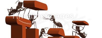 Ant teamwork team building or work cooperation