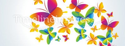 Colorful background with butterfly.