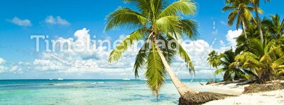 Idyllic tropical beach