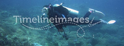 scuba diver explores coral reef philippines