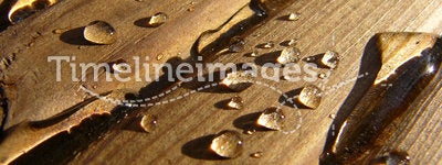 Water on Wood