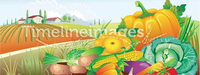 Landscape with a group of vegetables