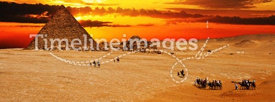 Camel caravan at sunset
