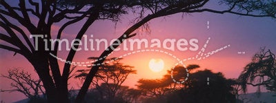 Crimson African sunrise
