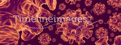 Influenza Virus Group
