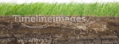 Grass and soil layers isolated on white