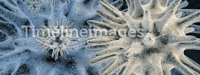3d microbes #3