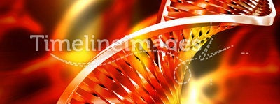 DNA abstract