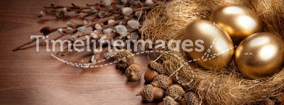 Golden eggs and catkin - Easter background