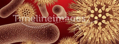 Red bacteria