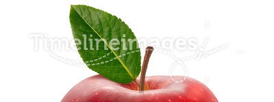 Red Apple isolated with clipping path