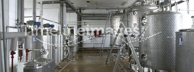Dairy food production plant