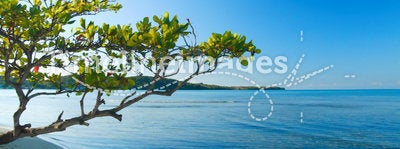 Tropical scene of Buye beach at the caribbean island of Puerto Rico