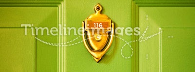 Brass Knocker Green Door