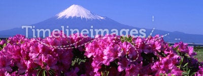 Mount Fuji L