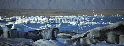 A scattering of icebergs