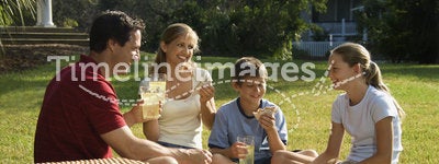 Family having picnic in park.