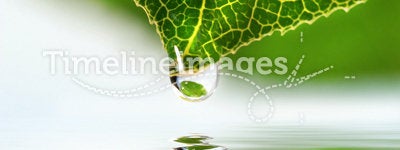 Leaf droplet over water