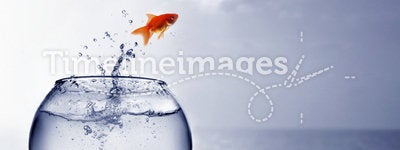 Goldfish jumping into the sea
