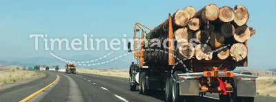 Transporting Wood