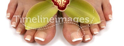 Feet and Orchid