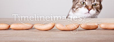 Cat and Sausages