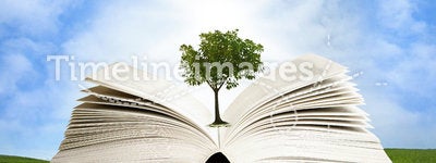Magic book with green tree