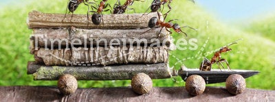 Team of ants carry logs with trail car, teamwork