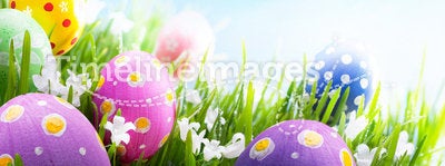 Easter eggs with flowers in grass on blue sky