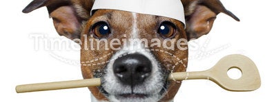 Chef dog with cooking spoon