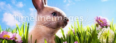 Art baby Easter bunny on spring green grass