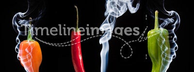 Hot chilli peppers with smoke coming out of end